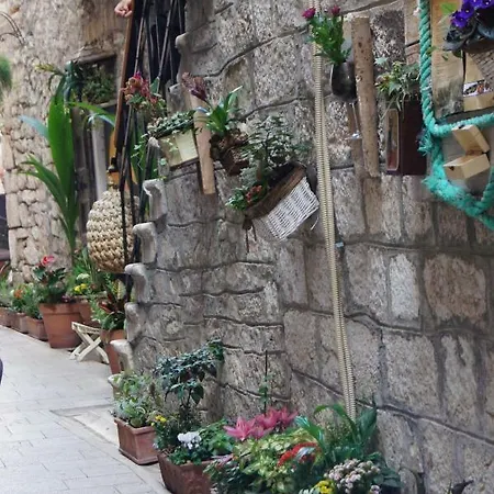 Salvia Adriatica Διαμέρισμα