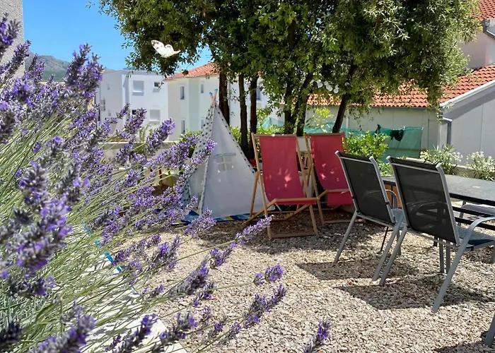 Salvia Adriatica * Grebaštica