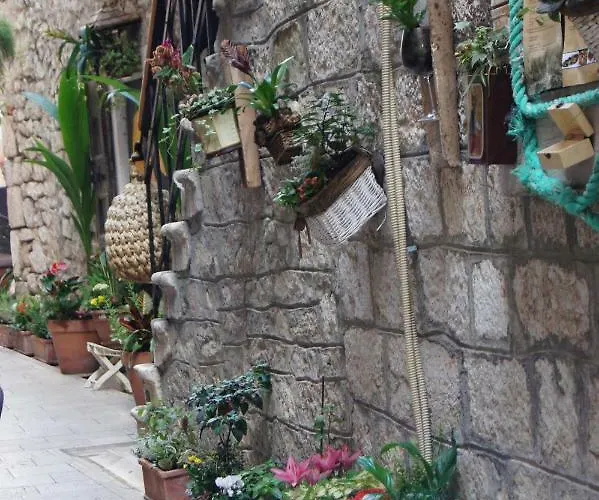 Salvia Adriatica Apartman